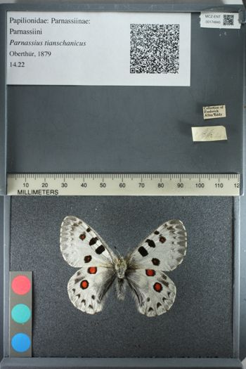 Media type: image;   Entomology 174845